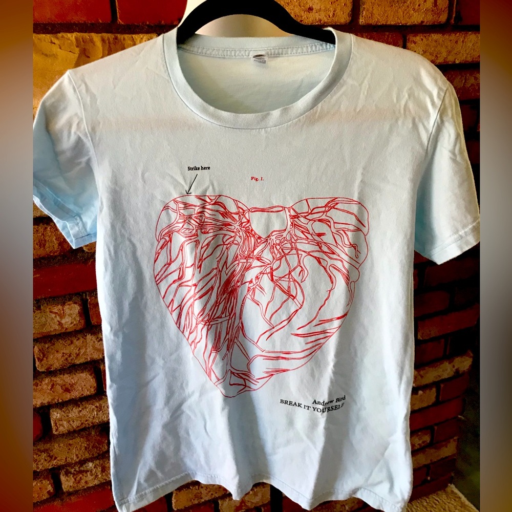 Rare Andrew Bird Tour T-shirt Break it Yourself American Apparel Size XL